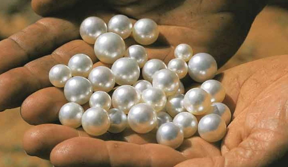 मोती रत्न (Pearl)